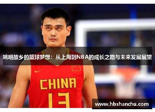 姚明故乡的篮球梦想：从上海到NBA的成长之路与未来发展展望