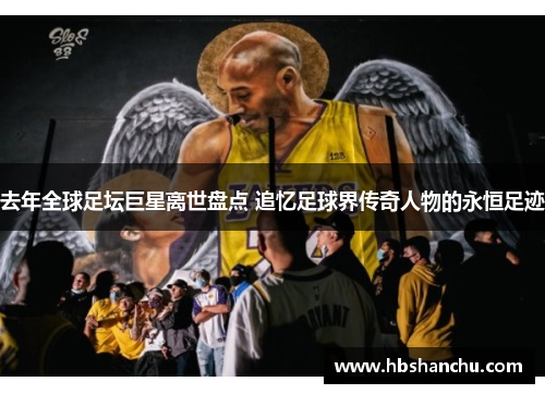 去年全球足坛巨星离世盘点 追忆足球界传奇人物的永恒足迹