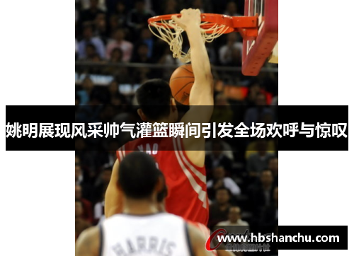 姚明展现风采帅气灌篮瞬间引发全场欢呼与惊叹