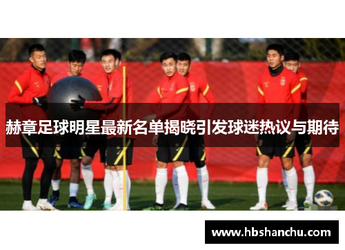 赫章足球明星最新名单揭晓引发球迷热议与期待